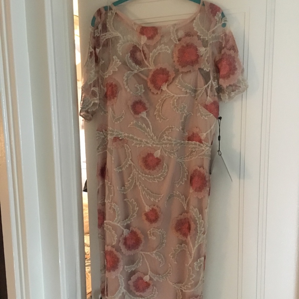 Anthropology Dress by Adrianna Papell.